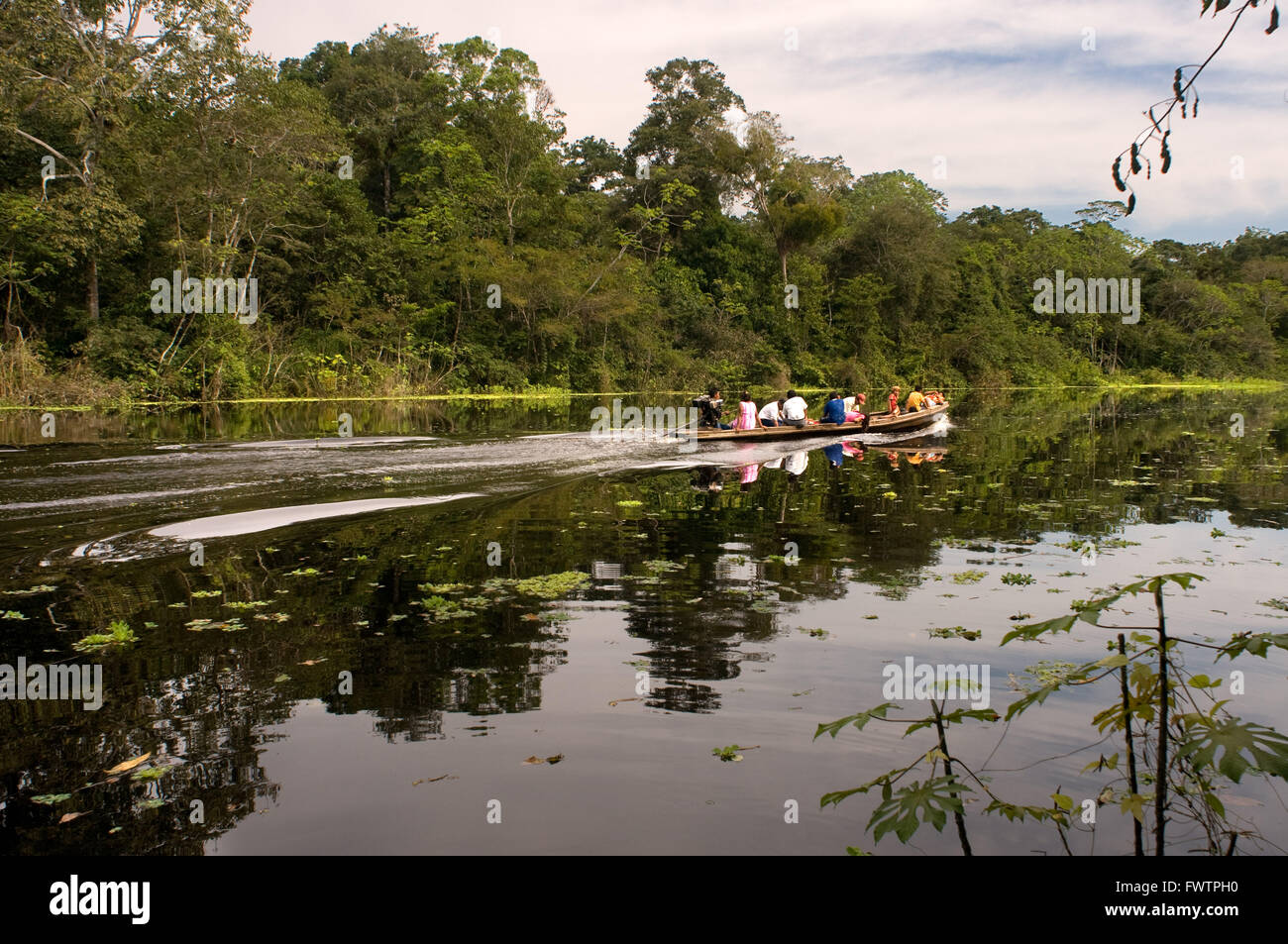 La foresta pluviale amazzonica: spedizione in barca lungo il fiume del Amazon vicino a Iquitos, Loreto, Perù. La navigazione di uno dei suoi affluenti del Rio delle Amazzoni a Iquitos circa quaranta chilometri vicino alla città di Indiana. Foto Stock