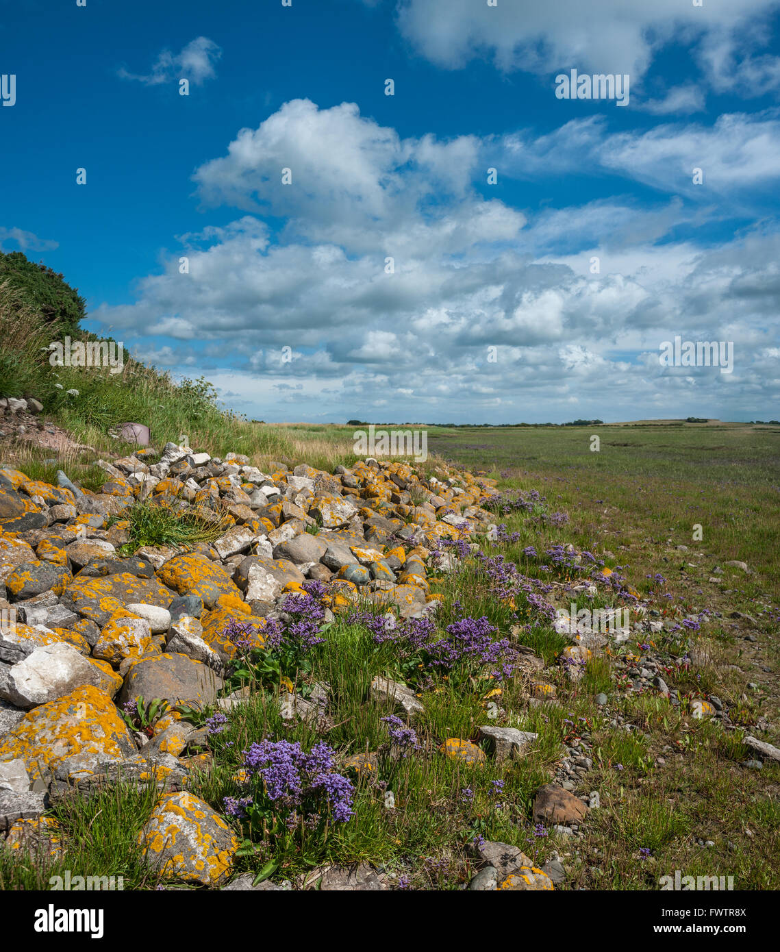 La collina del braccio sul fiume Wyre estuario del Lancashire Foto Stock