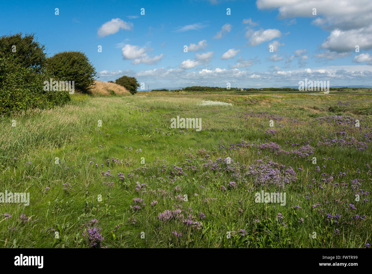 La collina del braccio sul fiume Wyre estuario del Lancashire Foto Stock