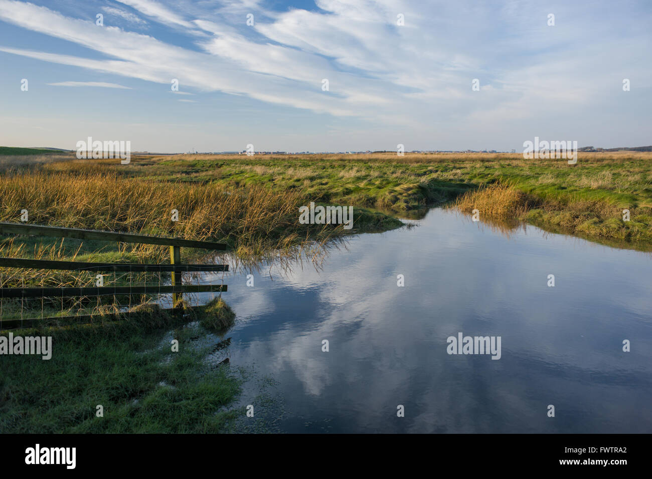 Burrows Marsh vicino Stalmine sul fiume Wyre Estuary Foto Stock