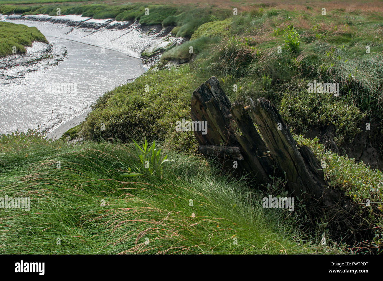 Una vecchia nave affondata nel fango di Barnaby sabbie della palude del fiume Wyre Estuary Lancashire Foto Stock