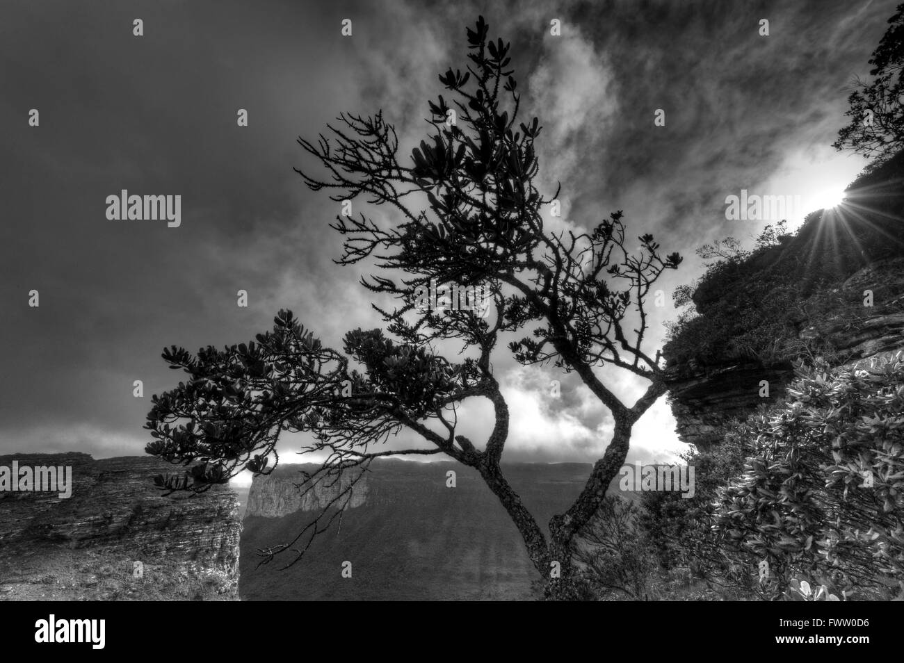 35,7 cm x 23,7 cm Foto Stock