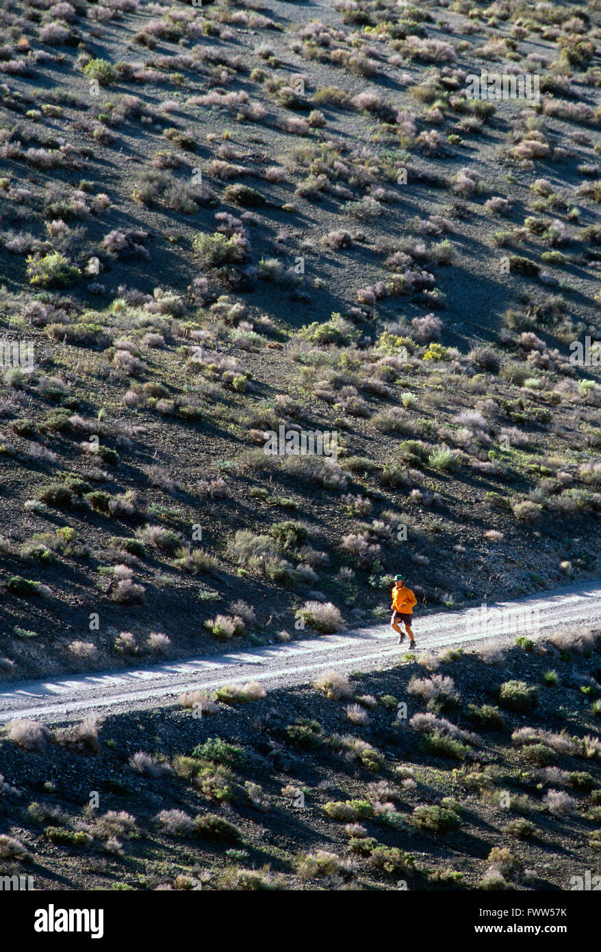 Montare il giovane atleta maschio trail runner nella Sierra Nevada, in California, sulle colline Foto Stock