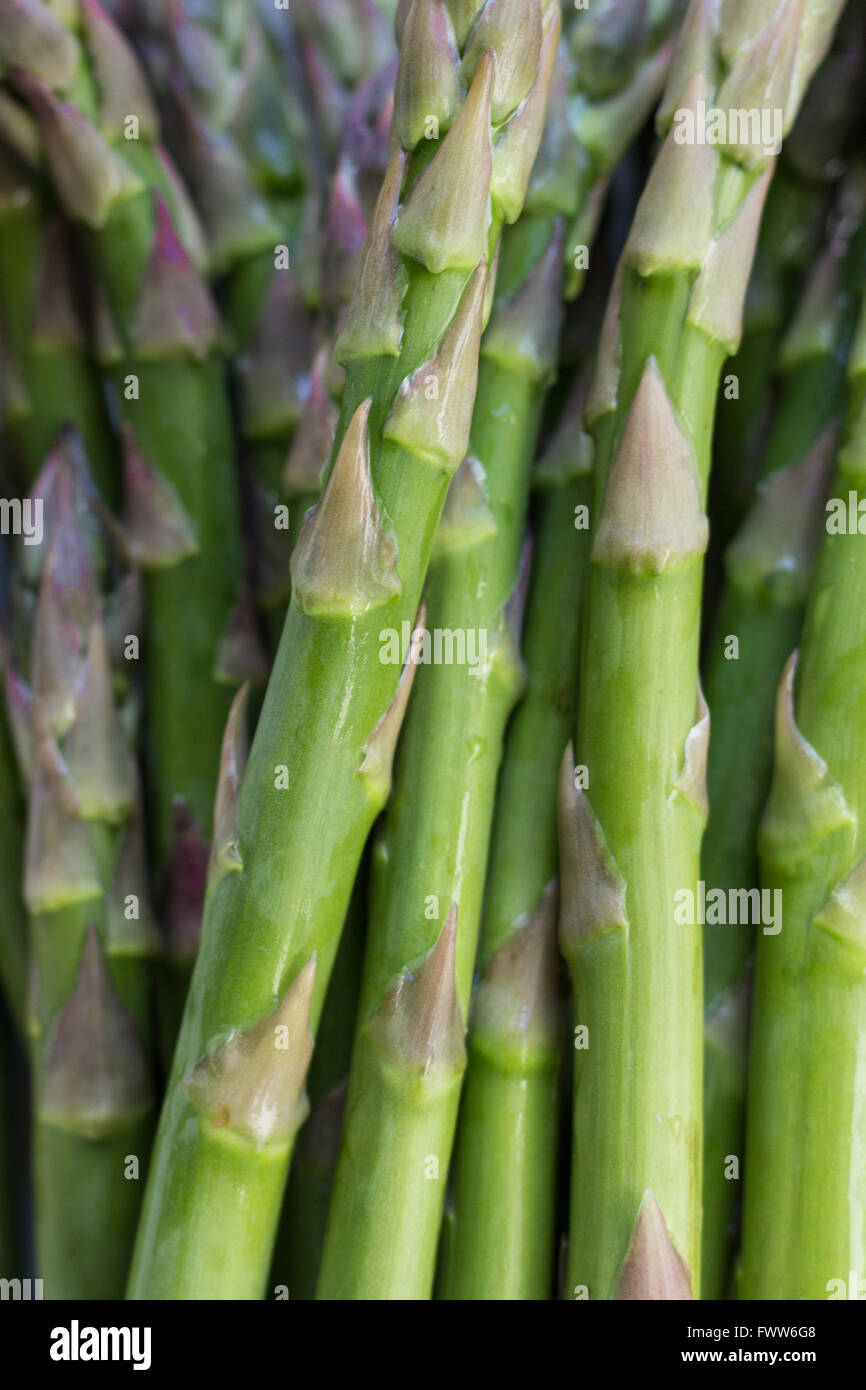 Freschi asparagi verdi macro materie - cibo closeup Foto Stock