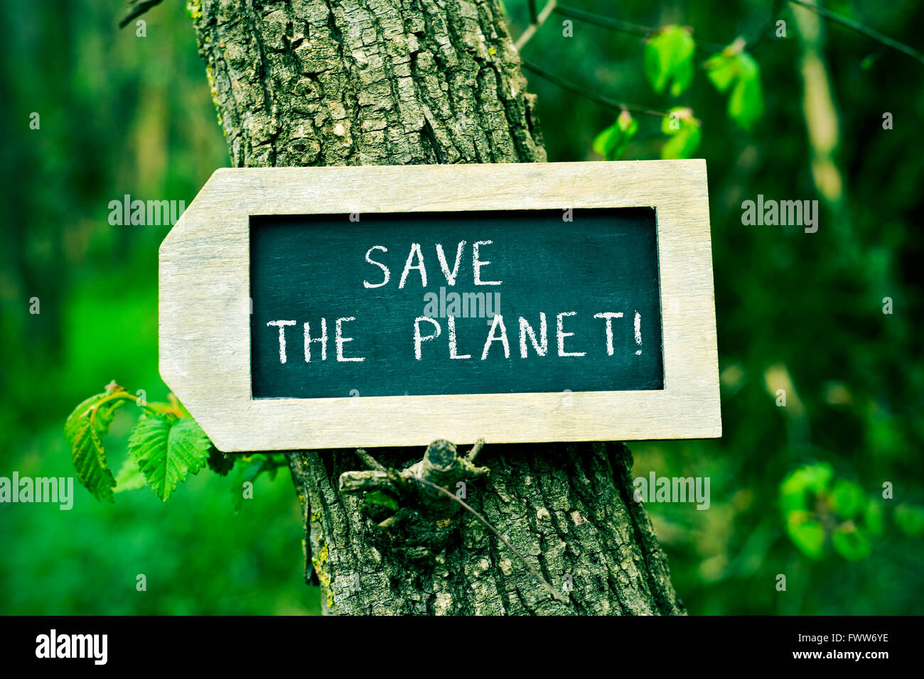 Primo piano di una etichetta a forma di lavagna con il testo salvare il pianeta nel tronco di un albero Foto Stock