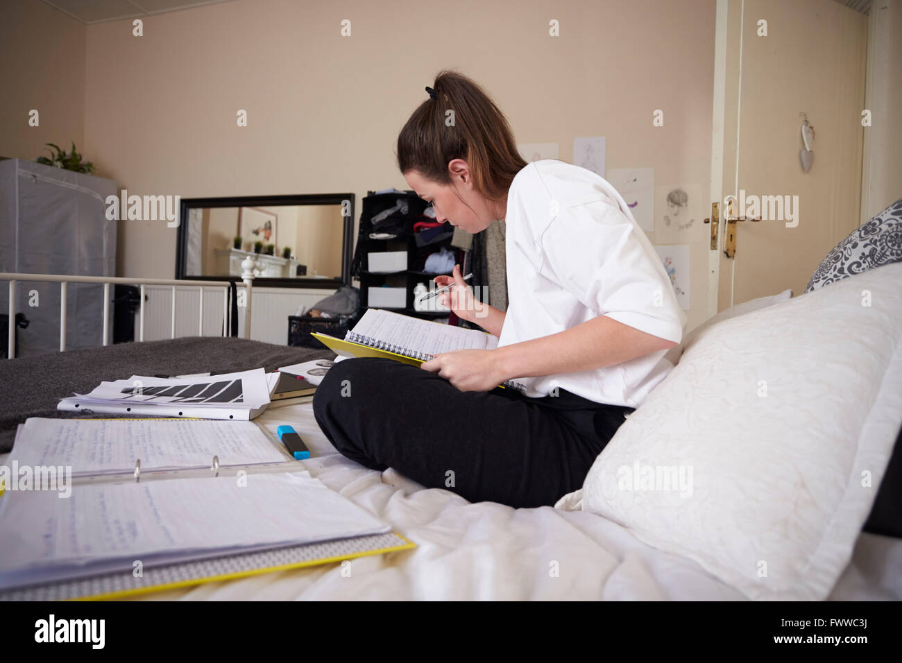 Studentessa lavorando su studi in camera da letto Foto Stock