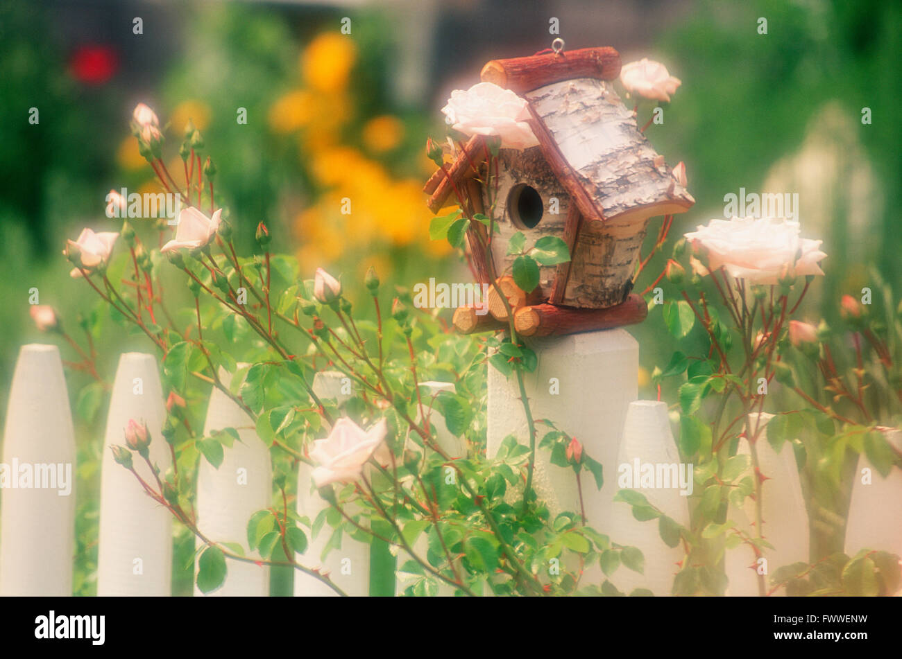 Bird House su un Fencepost circondato da rose, Cape Cod, Massachusetts, U.S.A. Foto Stock