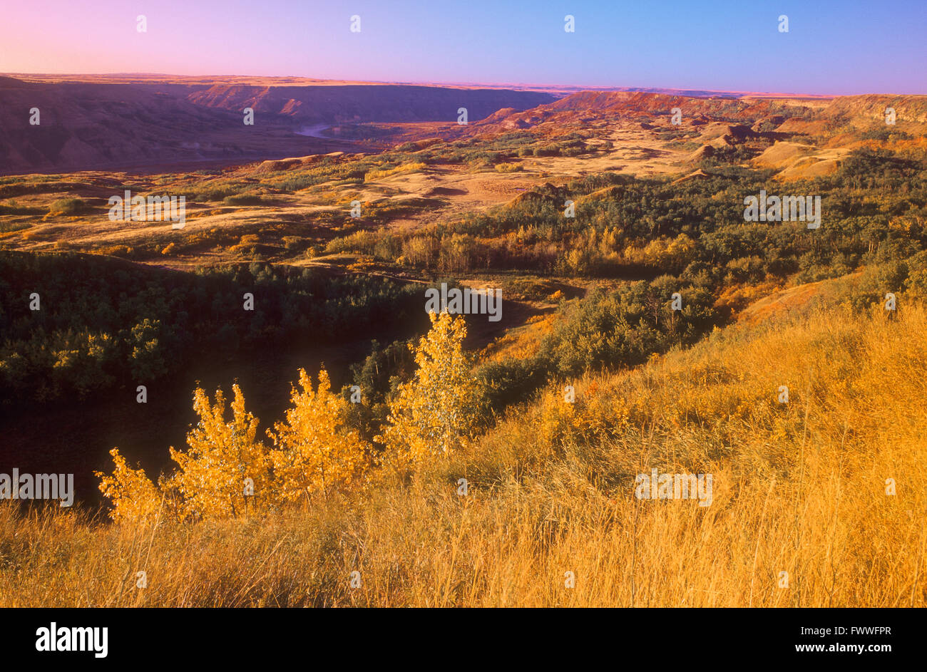 Isola secca Buffalo Jump Parco Provinciale in autunno, Alberta, Canada Foto Stock