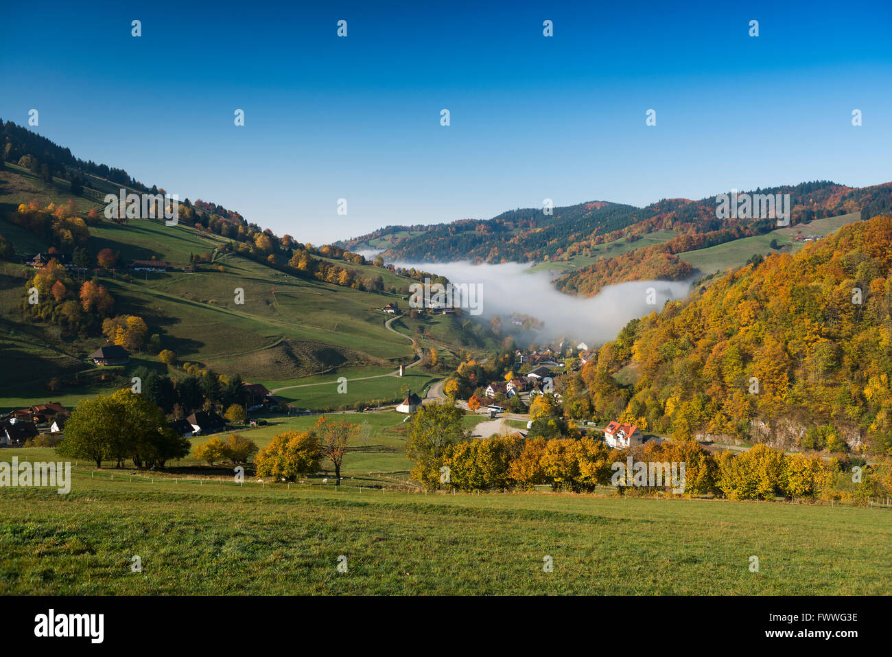 Vista della valle del Wiesental, in Schönau, Foresta Nera, Baden-Württemberg, Germania Foto Stock