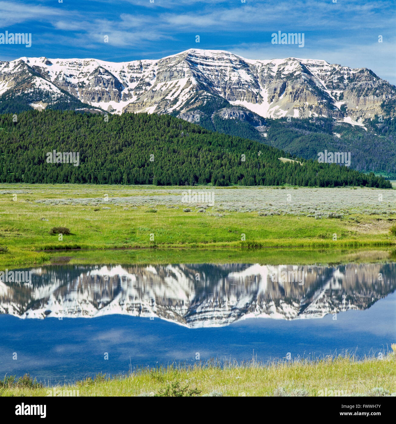 Culver stagno al Red Rock Lakes National Wildlife Refuge al di sotto del centenario le montagne vicino al Lakeview, montana Foto Stock