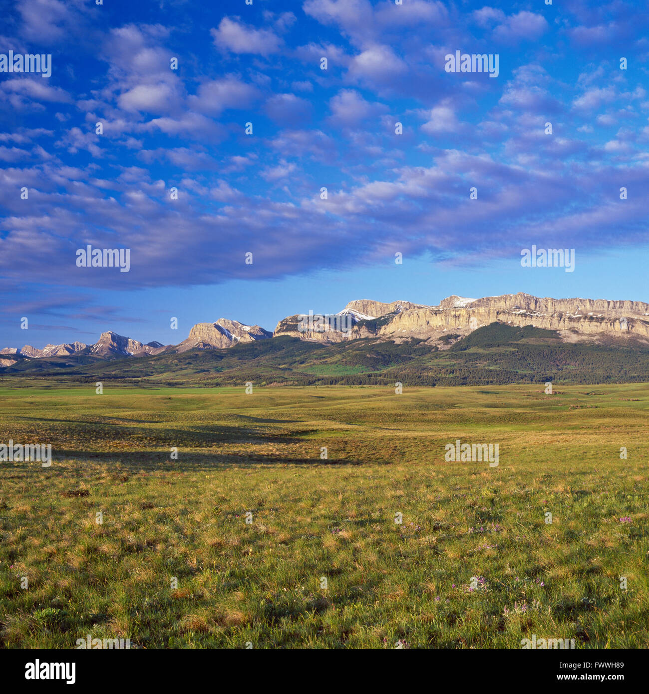 Mattina nuvole sopra il Rocky Mountain Front e prairie vicino dupuyer, montana Foto Stock