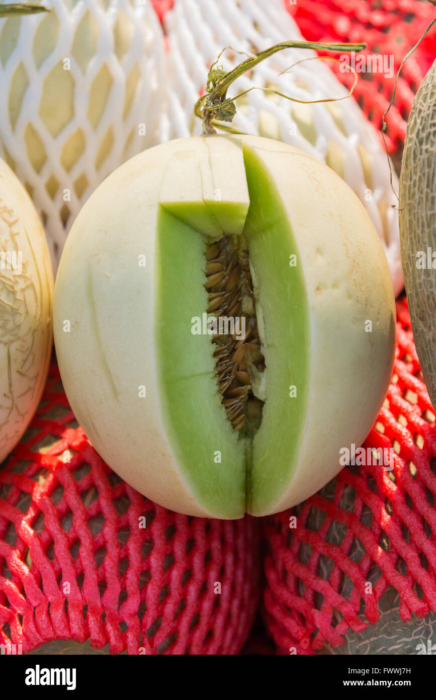 Pezzo di melone verde tagliato per il gusto di prova Foto Stock