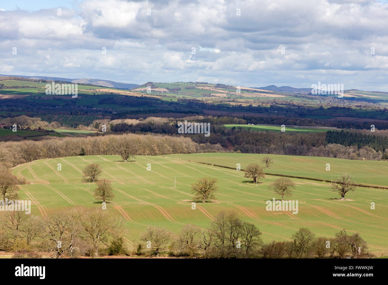 Shropshire campagna guardando verso il lungo Mynd, visto da Mortimer foresta vicino a Ludlow, Shropshire, Inghilterra, Regno Unito Foto Stock