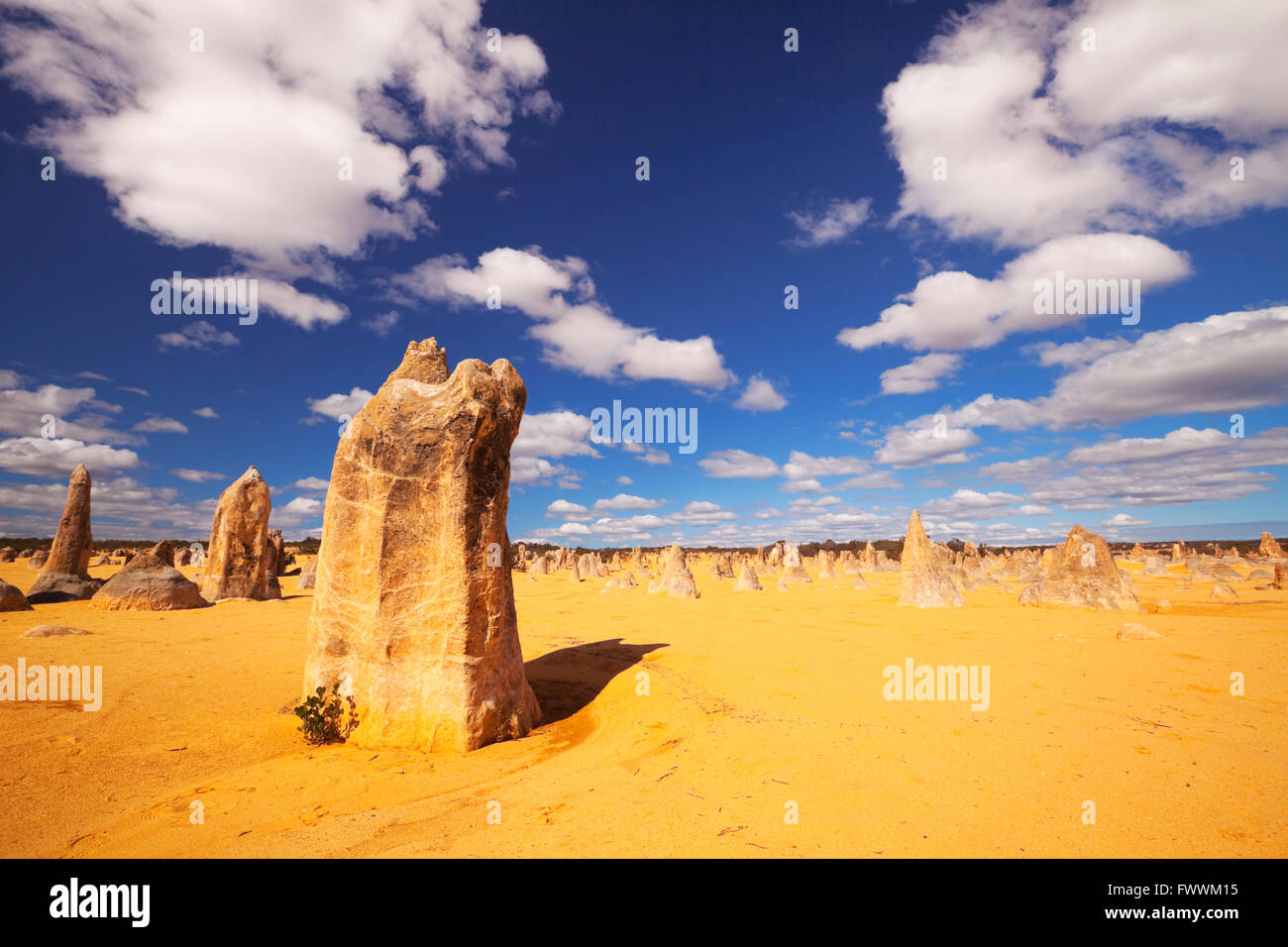 Il Deserto Pinnacles nel Nambung National Park, Australia occidentale. Foto Stock