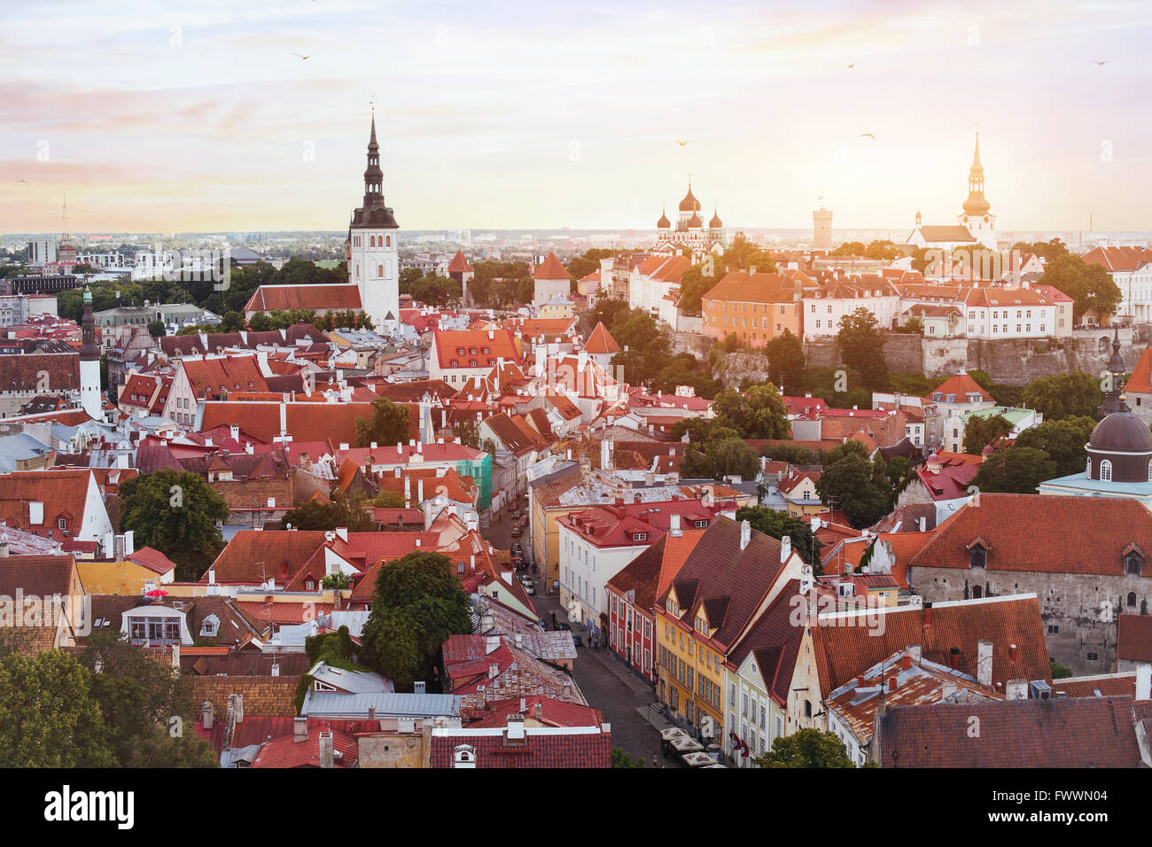 Vista panoramica di Tallinn, skyline del centro storico, Estonia Foto Stock