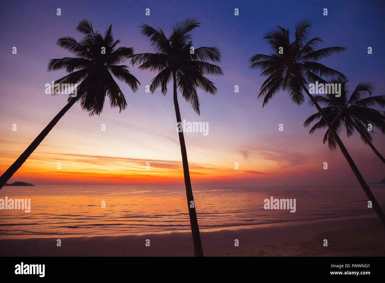 Paradise spiaggia tropicale al tramonto, paesaggio esotico con sagome di alberi di palma Foto Stock