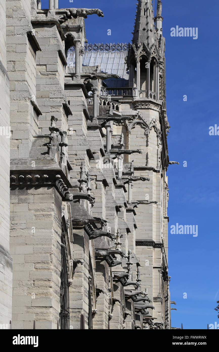 La Francia. Parigi. La facciata occidentale della cattedrale di Notre Dame. Inizio gotico. Il XIII secolo. Mascheroni. Foto Stock