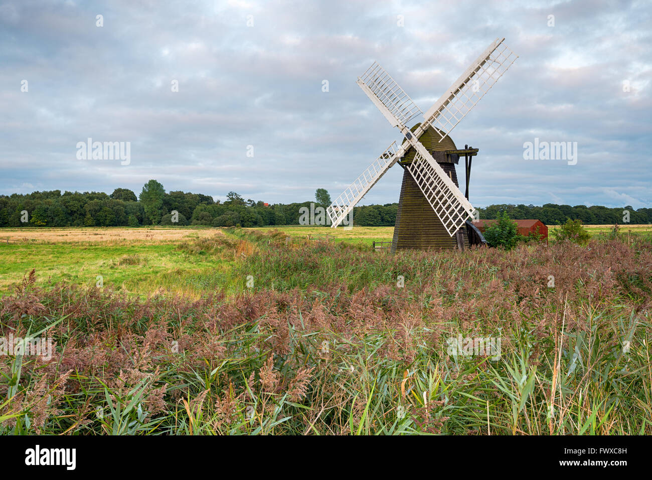 Il mulino a vento di Herringfleet sul Suffolk Broads Foto Stock