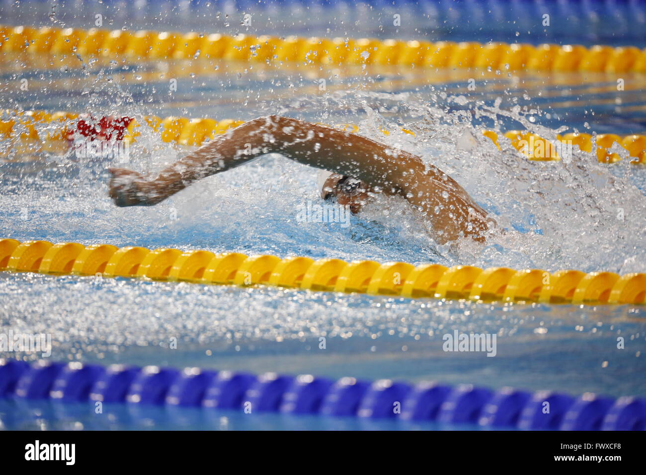 Hamdan complesso sportivo, Dubai, U.A.E. 7 Aprile, 2016. Nuotatore compete al 6° International Aquatic Campionato 2016 Foto Stock