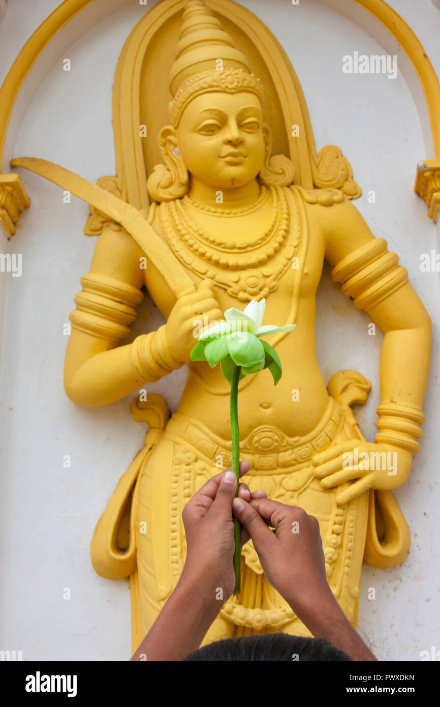 Pregando con un fiore di loto a Ruwanwelisaya Dagoba, Anuradhapura (Patrimonio Mondiale dell'UNESCO), Sri Lanka Foto Stock