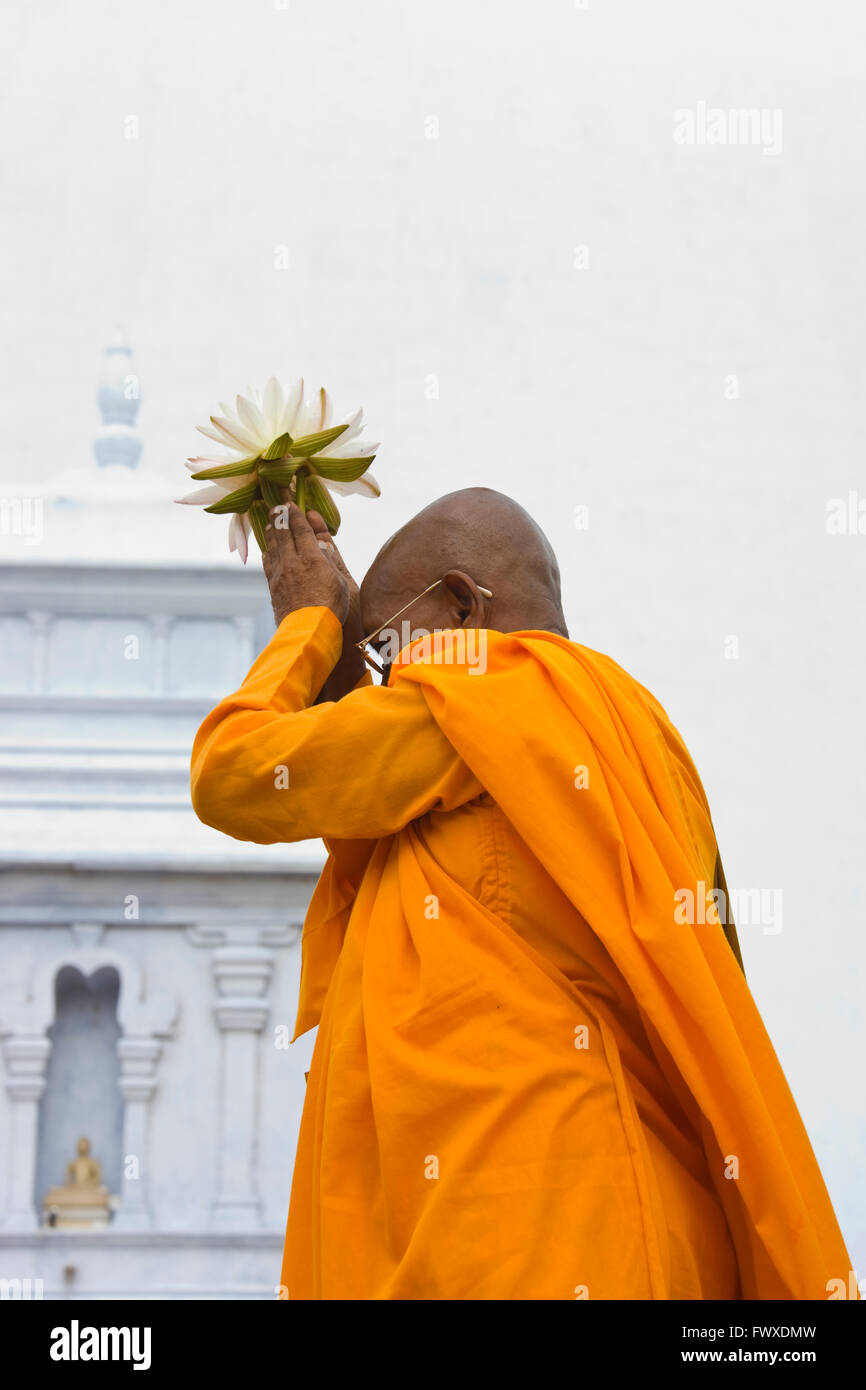 Monaco pregando con fiore di loto a Ruwanwelisaya Dagoba, Anuradhapura (Patrimonio Mondiale dell'UNESCO), Sri Lanka Foto Stock