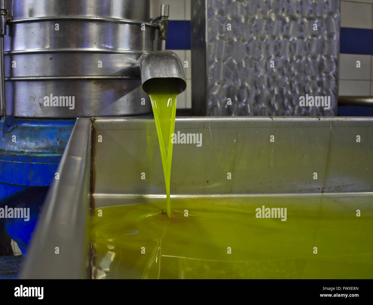 Olio di oliva proveniente dalla pressa Foto Stock