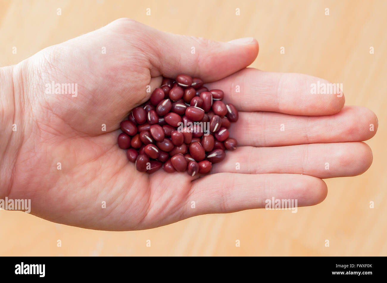 Una mano piena di Fagioli Adzuki (Vigna angularis). Foto Stock