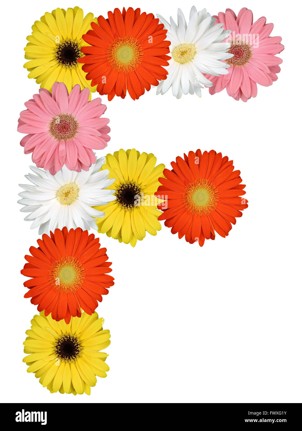 Lettera f con fiori immagini e fotografie stock ad alta risoluzione - Alamy