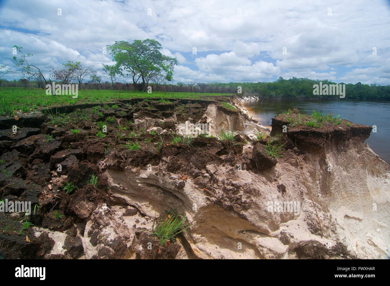 Blocchi di corrente dovuta a errosion lungo la Colombia la scenografica Cano Bocon sul lato orientale Llanos offre il primo La pesca del pavone basso. Foto Stock