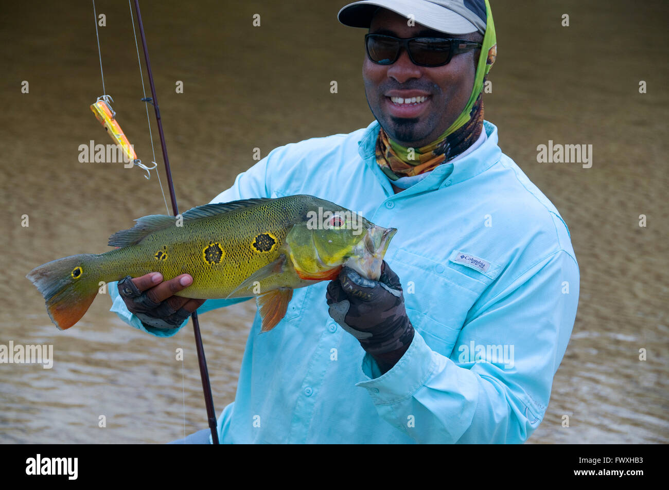 Un pescatore che solleva un gigante farfalla pavone basso catturati su una spina nella acque della laguna off il colombiano Cano Bocon fiume. Foto Stock