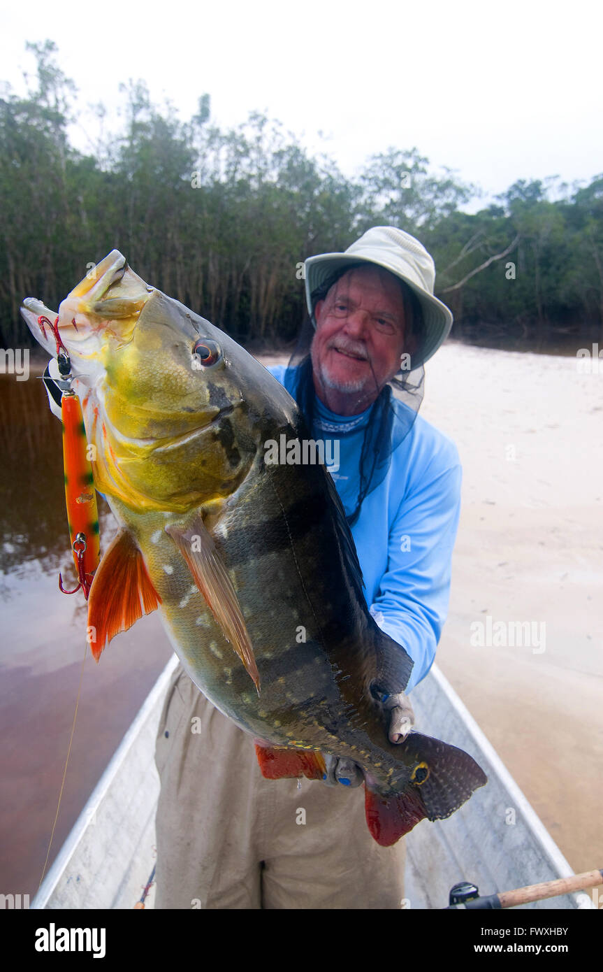 Un pescatore che solleva un gigante peacock bass catturati su un chopper-spina tipo tinto in acque della laguna off il colombiano Cano Bocon (fiume). Foto Stock