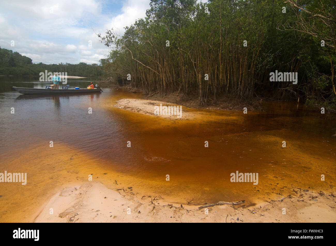 Un pescatore lancia a un gigante peacock bass in laguna macchiata acque al largo della Colombia Fiume Bocon sul Llanos. Foto Stock