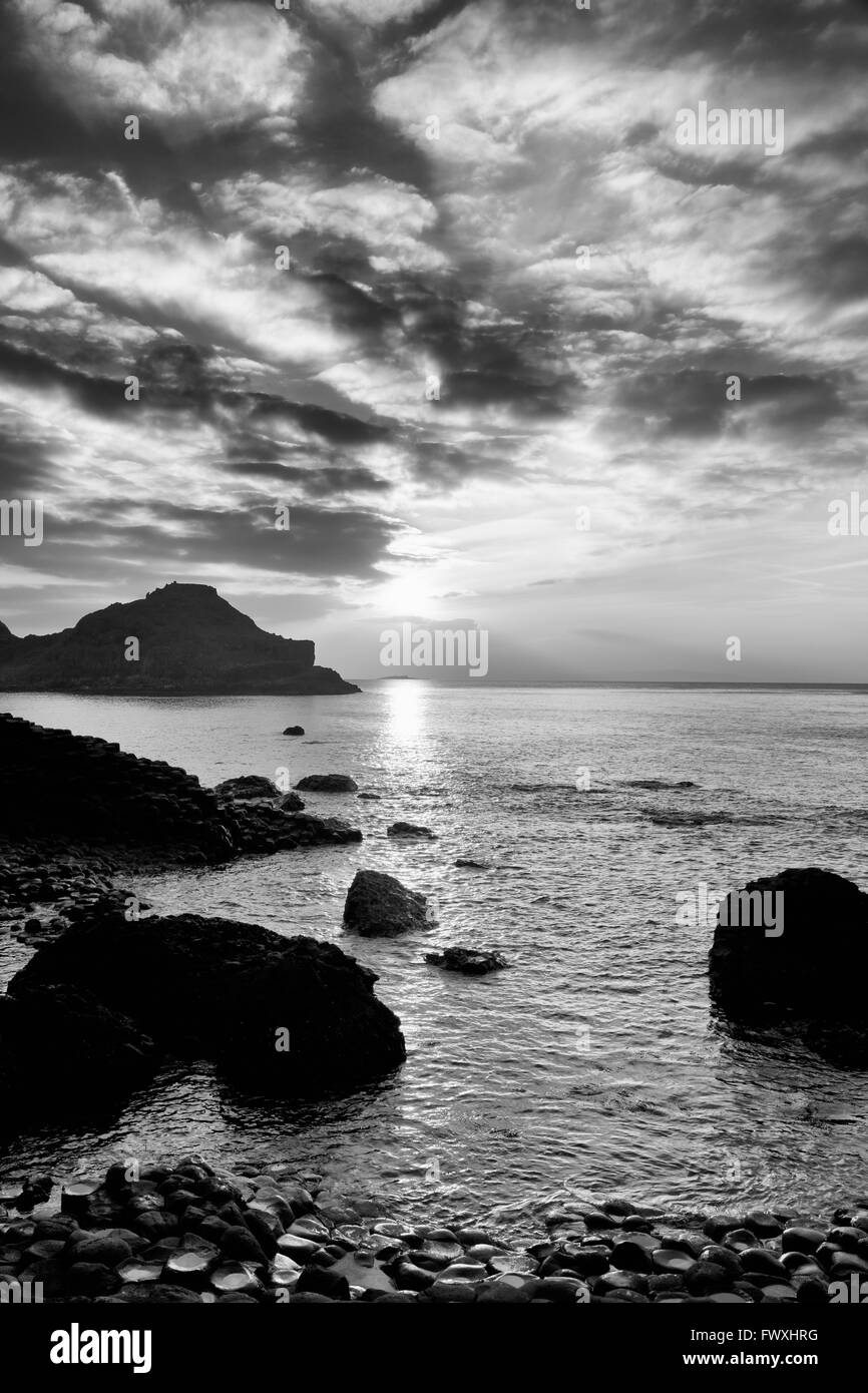 Giant's Causeway, County Antrim, Ulster (Irlanda del Nord Europa Foto Stock