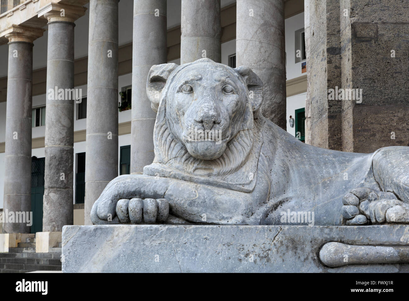 Statua di Lion, Piazza Plebiscito, Napoli, Italia, Europa Foto Stock