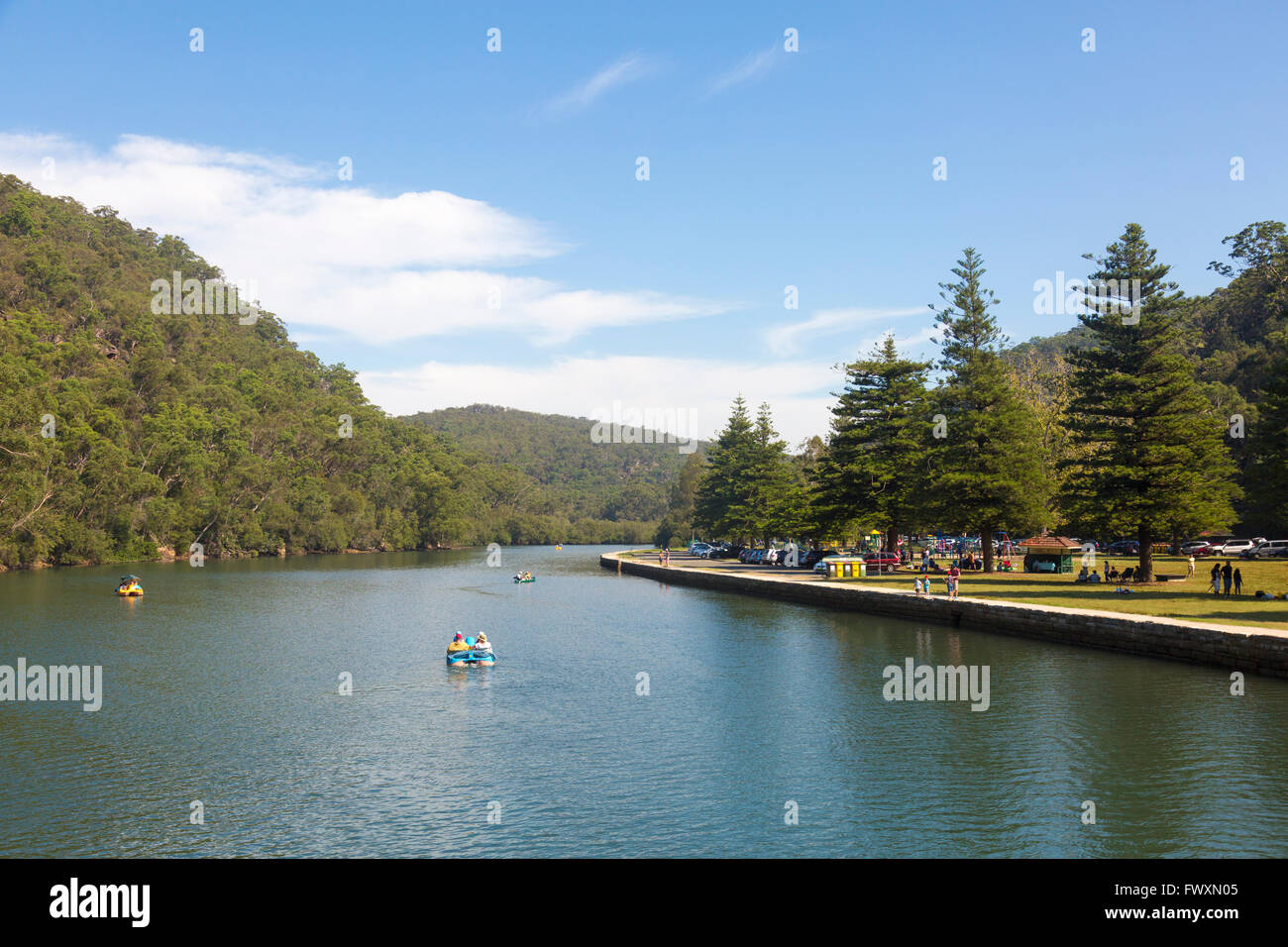 Bobina testa zona di Ku-ring-gai Chase National Park a nord di Sydney, Nuovo Galles del Sud, Australia Foto Stock