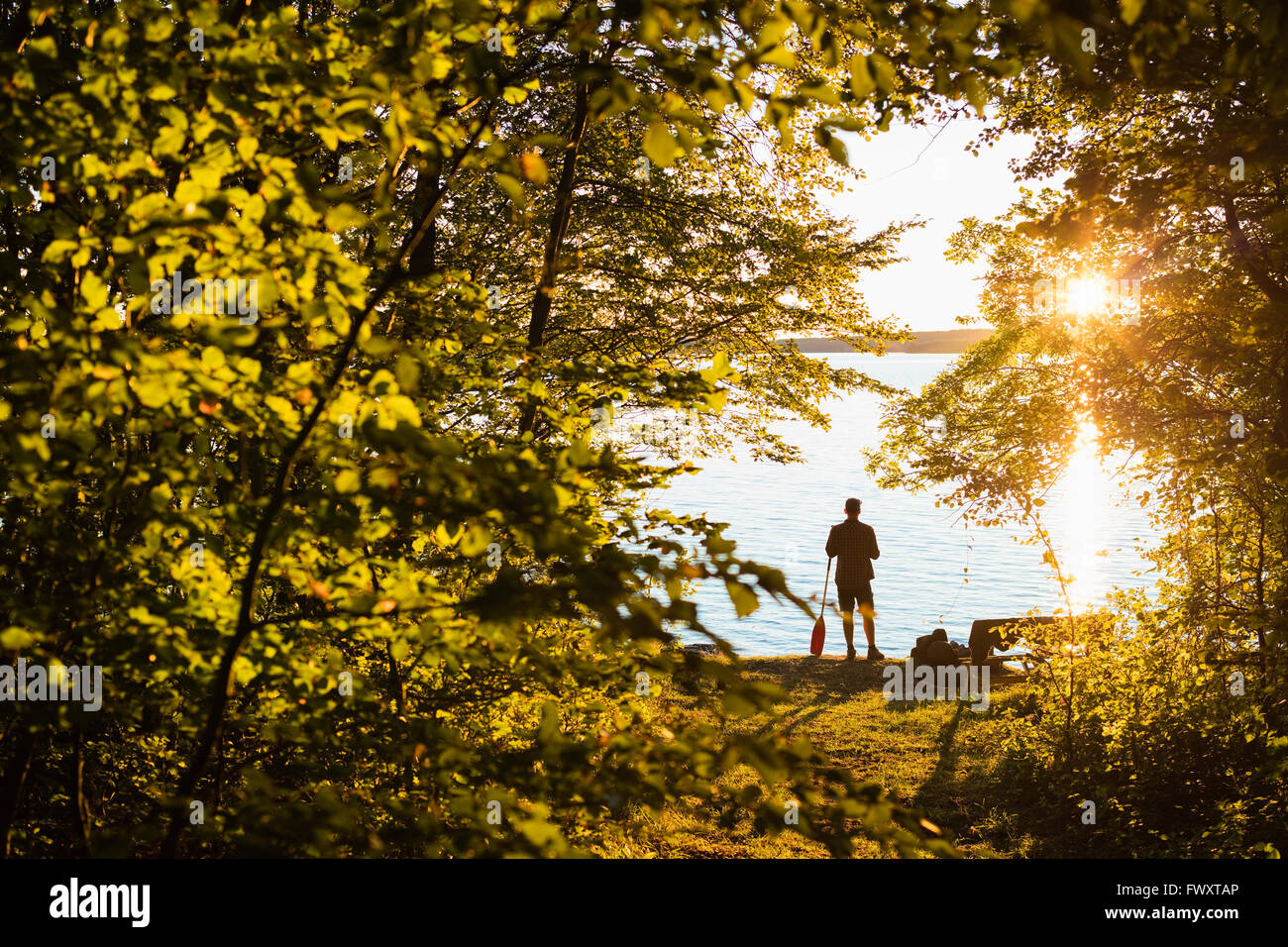 La Svezia, Skane, Immeln, Silhouette di un uomo in piedi con remo al tramonto Foto Stock