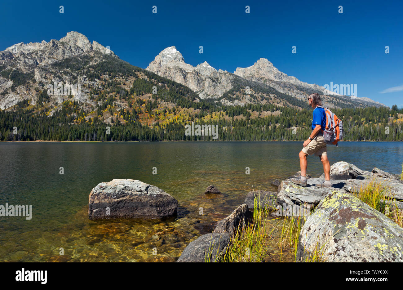 WYOMING - Rocce lungo la riva del lago Taggart, destinazione popolare situato nel Parco Nazionale di Grand Teton. Foto Stock