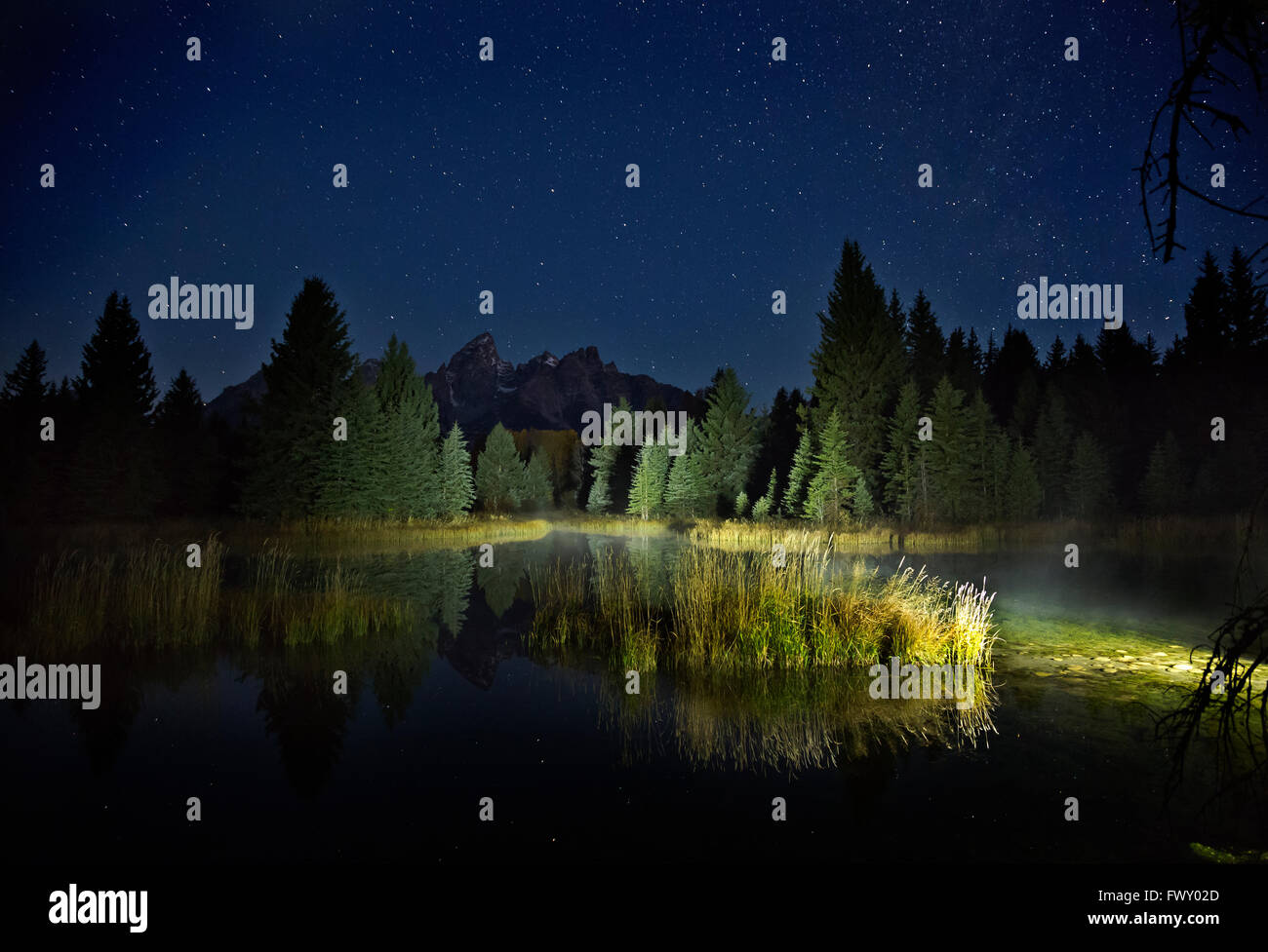 WYOMING - stelle di prima mattina cielo a Schwabacher atterraggio sul fiume Snake nel Parco Nazionale di Grand Teton. Foto Stock