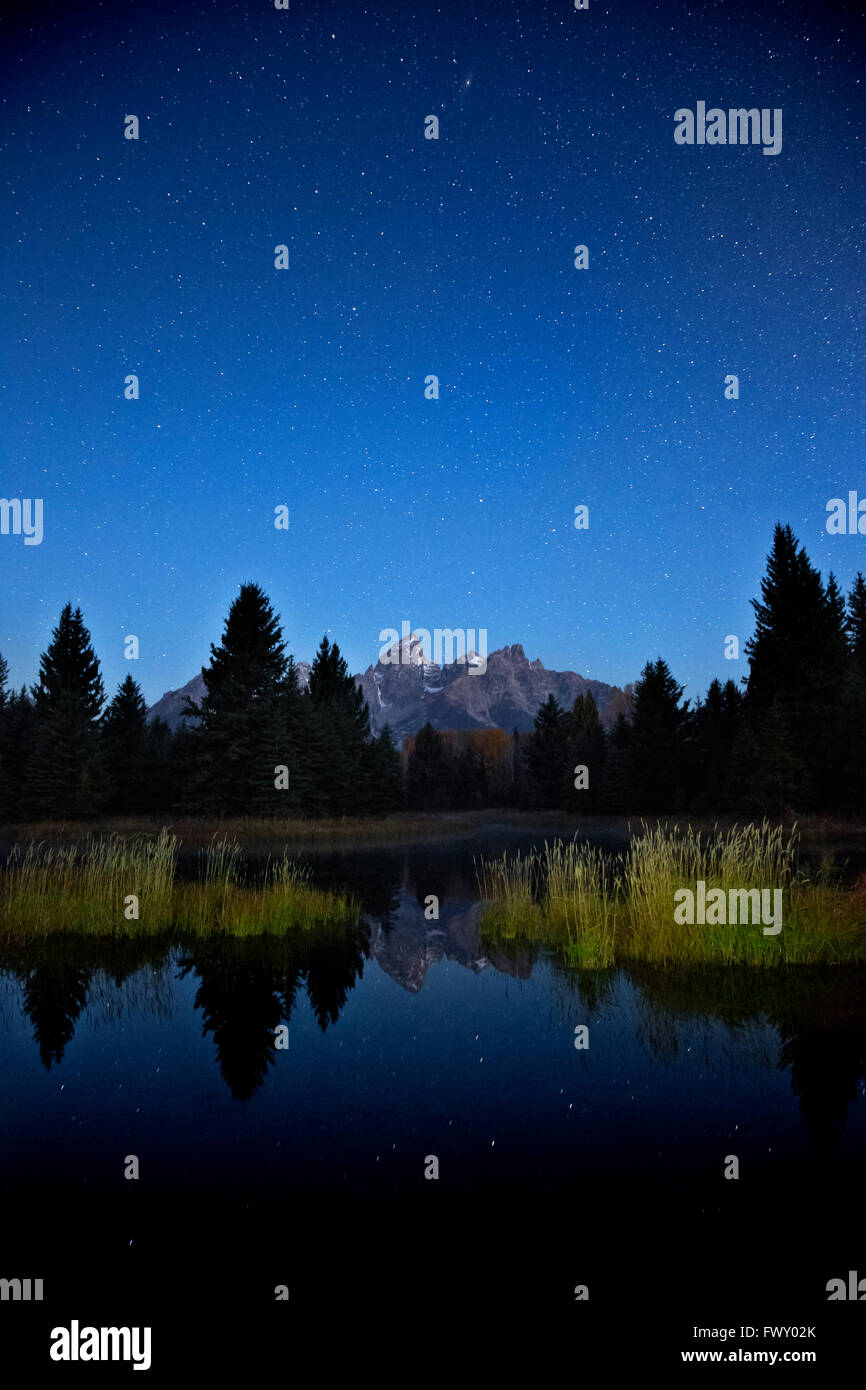 WY014746-00...WYOMING - notte il cielo e le stelle vicino a Alba a Schwabacher atterraggio sul fiume Snake nel Parco Nazionale di Grand Teton. Foto Stock