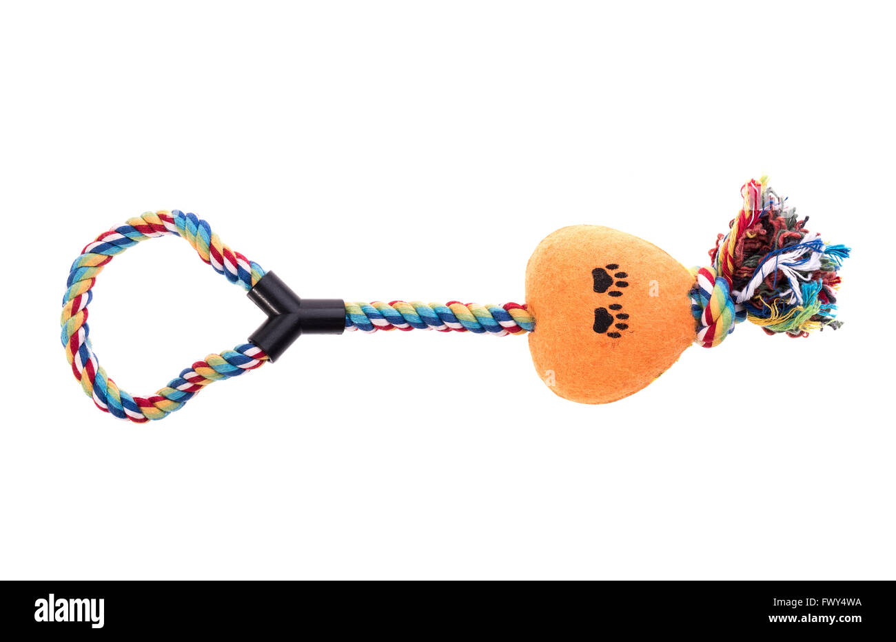 I giocattoli per animali da compagnia su sfondo bianco Foto Stock