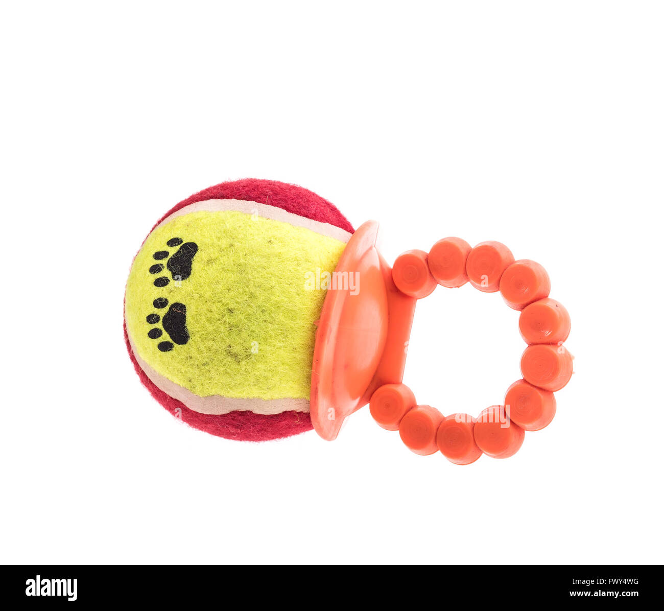I giocattoli per animali da compagnia su sfondo bianco Foto Stock