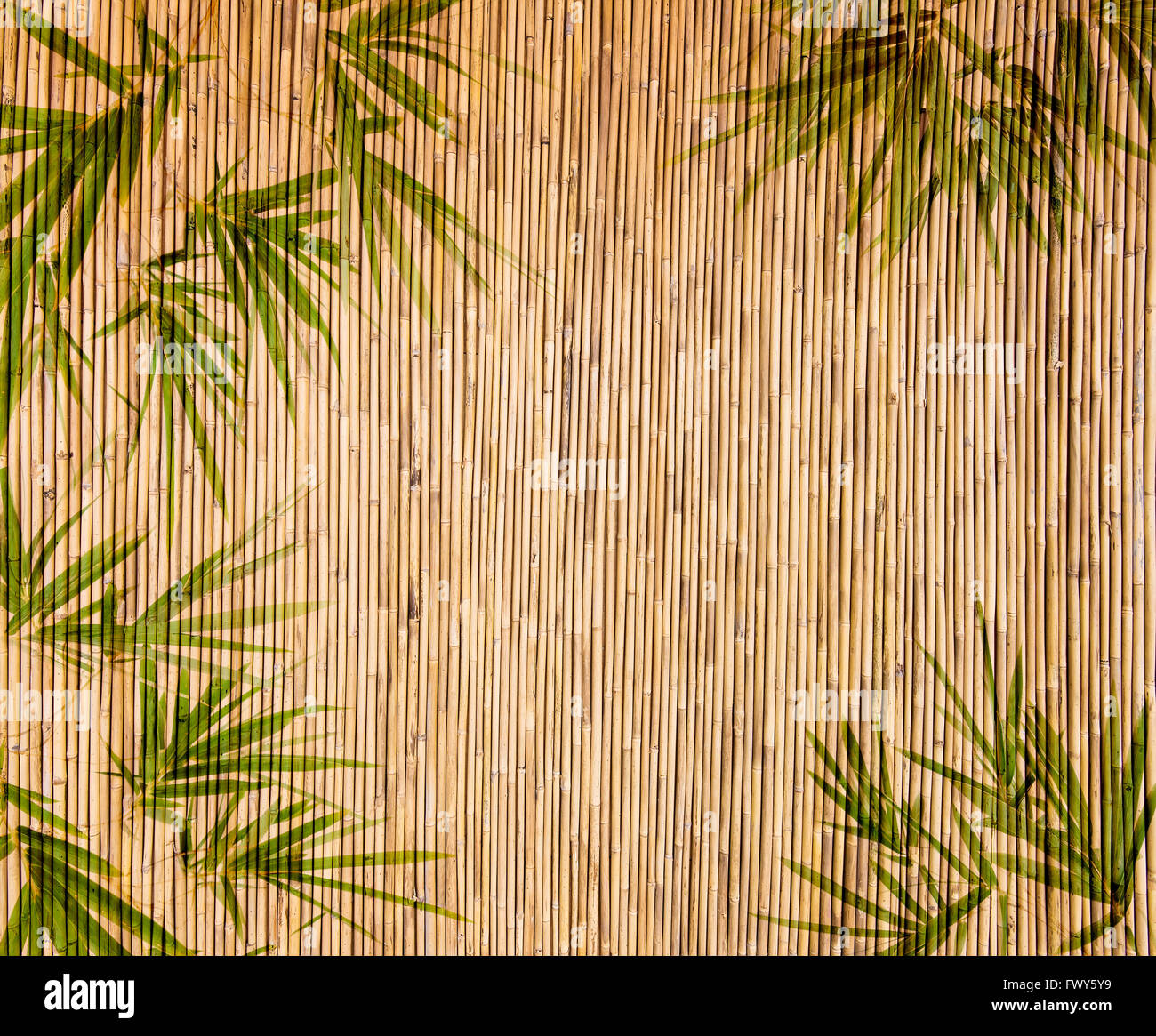 Sfondo di bambù grande per qualsiasi progetto. telaio di bambù di foglie di sfondo. Foto Stock