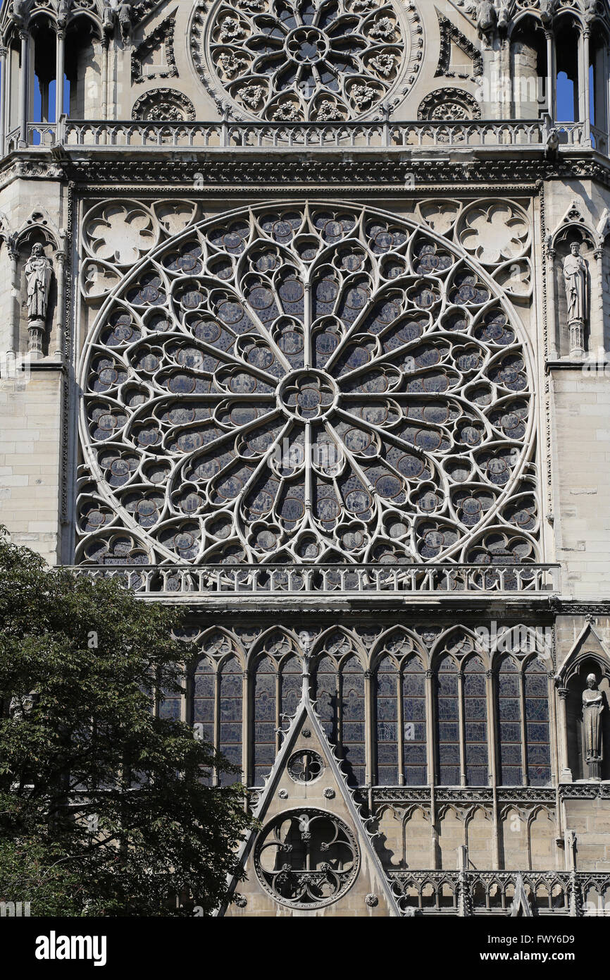 La Francia. Parigi. Cattedrale di Notre Dame. Inizio gotico. Il XIII secolo. Sud rosone Foto Stock