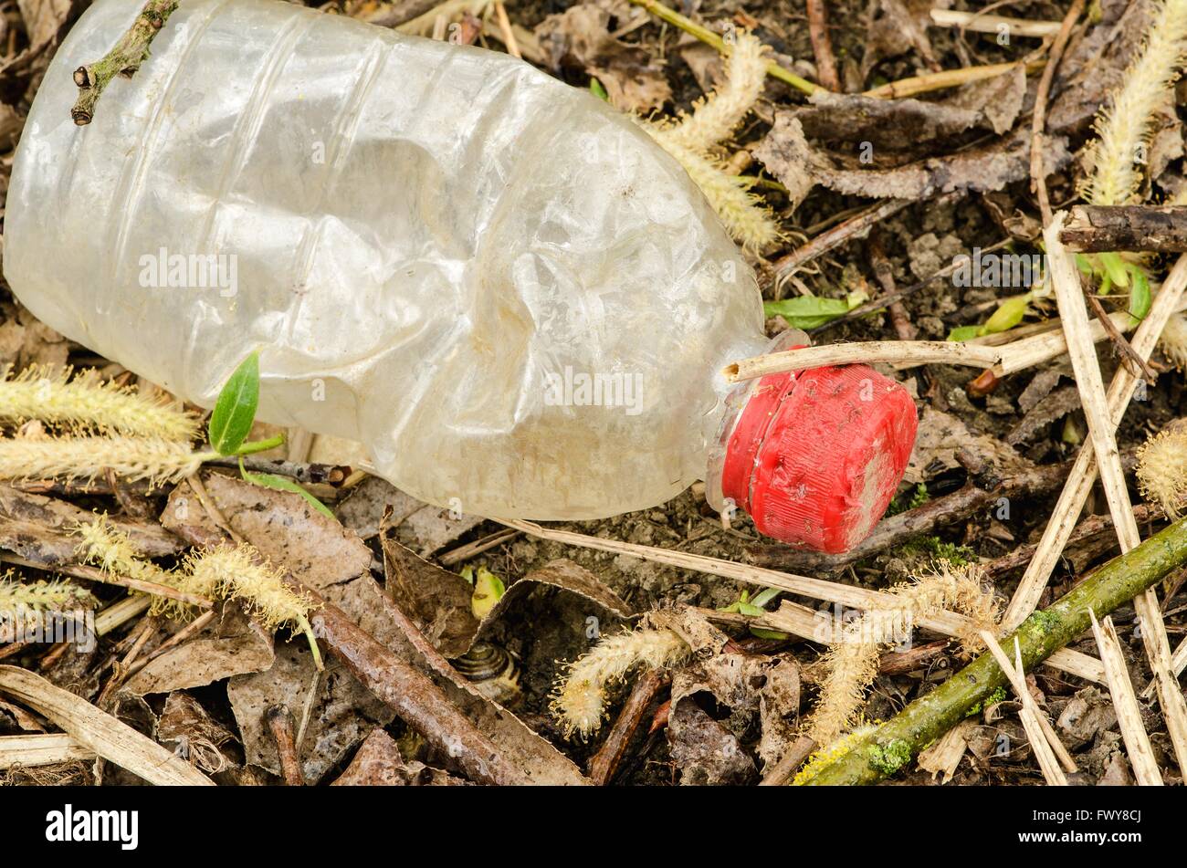 Vecchia bottiglia con tappo rosso nell'erba. Foto Stock