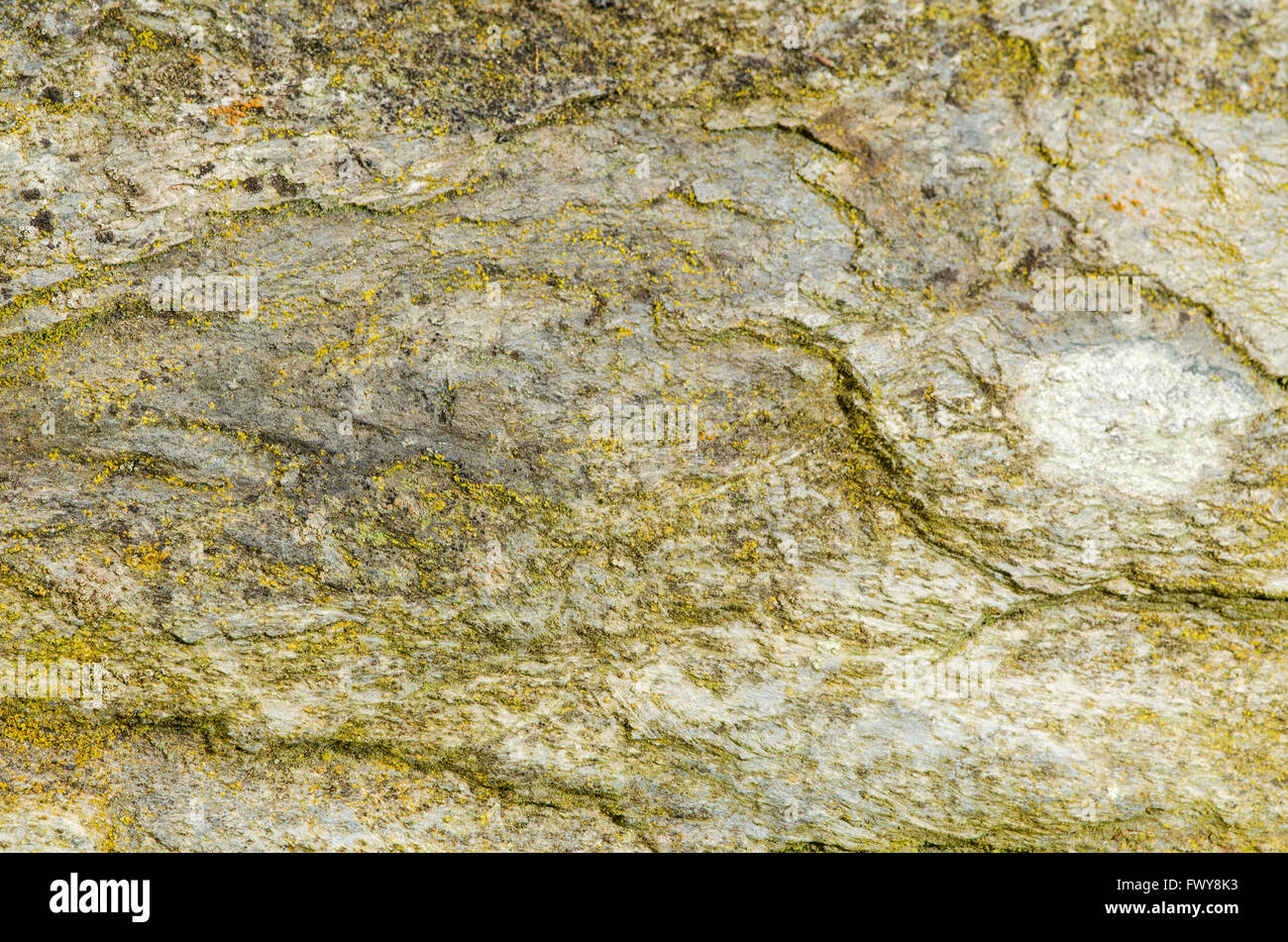 Modello di texture di Nizza colorato superficie di roccia Foto Stock