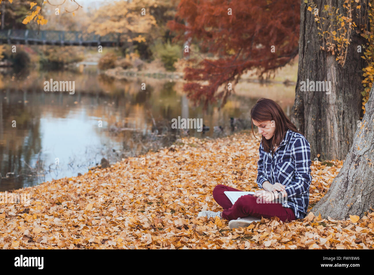 Concetto di lettura, giovane donna con libro in autunno park Foto Stock