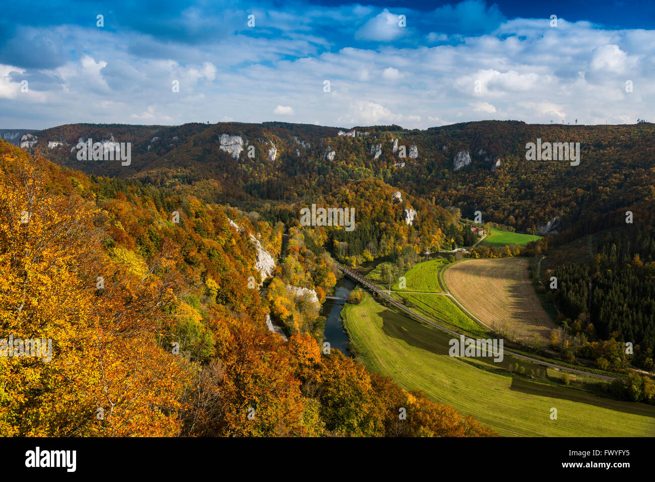 Veduta sul Danubio spazio al castello di Wildenstein, Danubio superiore Natura Park, Giura Svevo, Baden-Württemberg, Germania Foto Stock