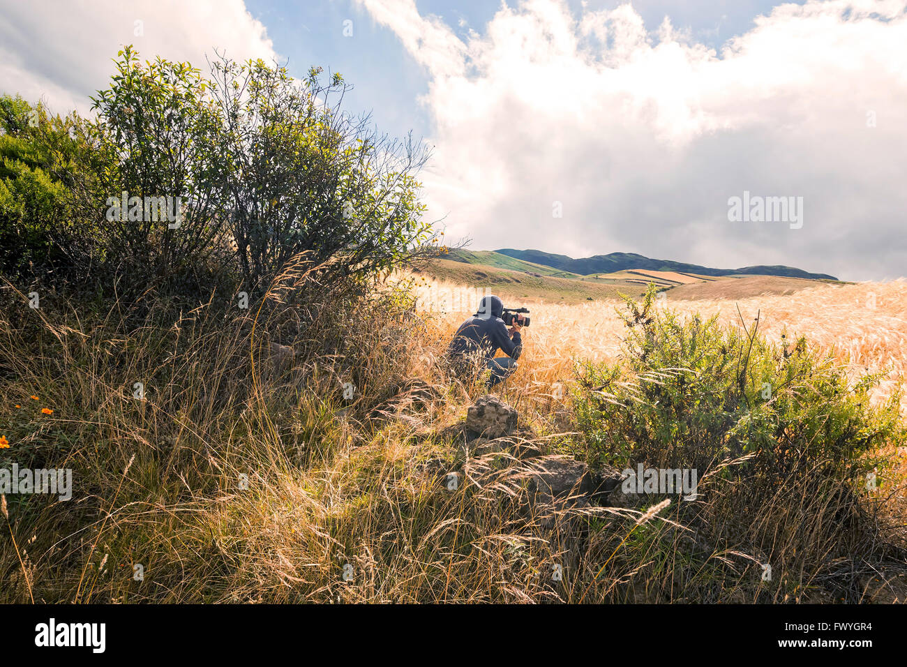 Giovane fotografo in un Cornfield, Ecuador, Sud America Foto Stock