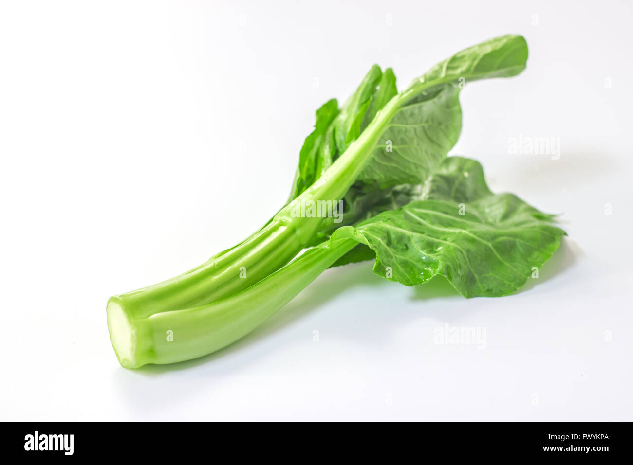 Una verdura verde sul tavolo bianco Foto Stock