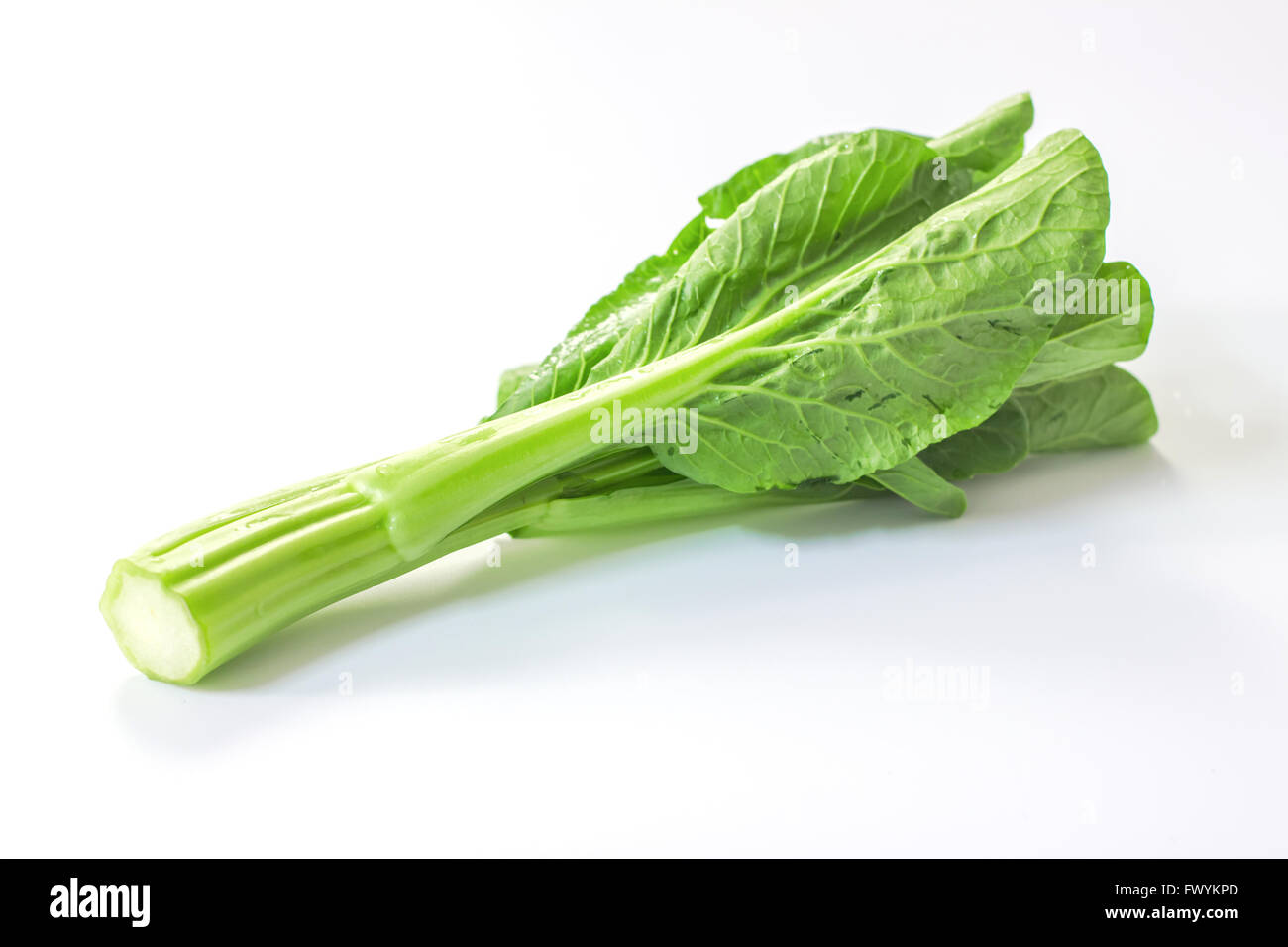 Una verdura verde sul tavolo bianco Foto Stock